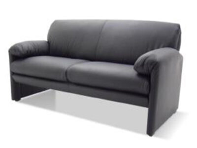 Executive Double Seater Easy Couches 10081