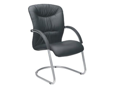 Visitors Arm Chair 10058