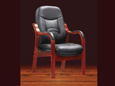 Princess Executive Visitors Chair - Genuine Leather 20076
